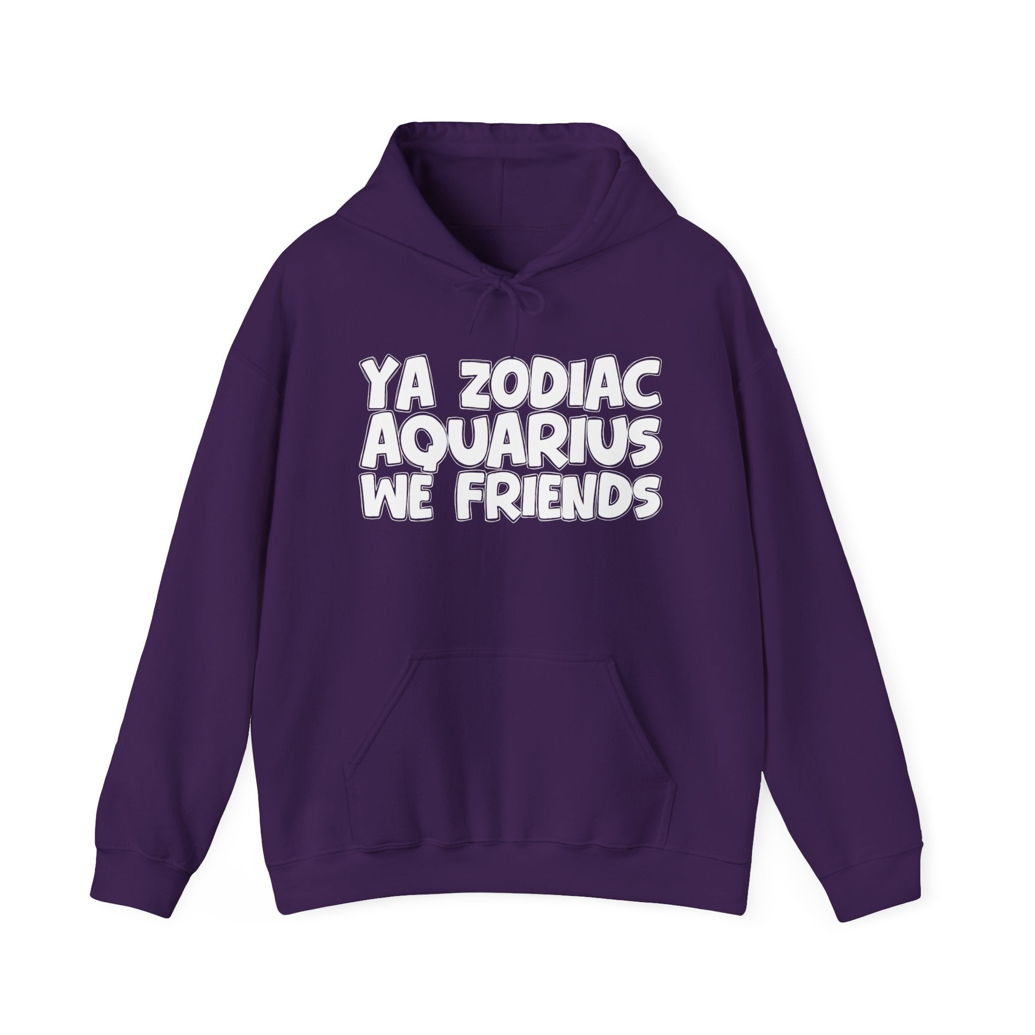 Ya Zodiac Aquarius We Friends - Fun Astrology Hoodie Gift