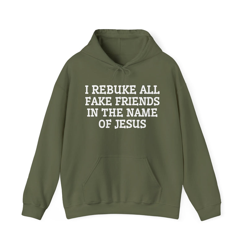 I Rebuke All Fake Friends In The Name Of Jesus — Hoodie