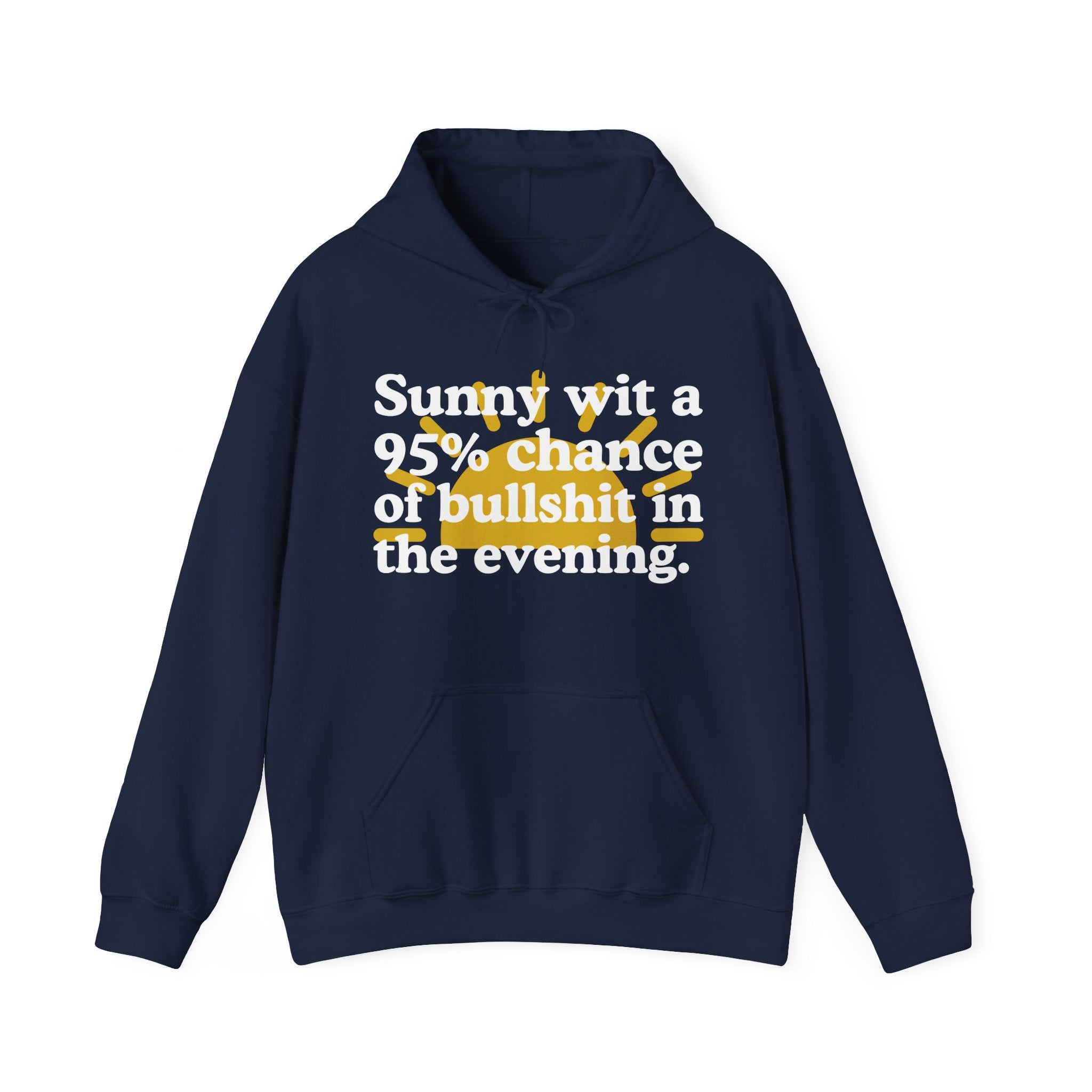 Sunny wit a 95% chance of bullshit in the evening —  Funny Weather Forecast Hoodie