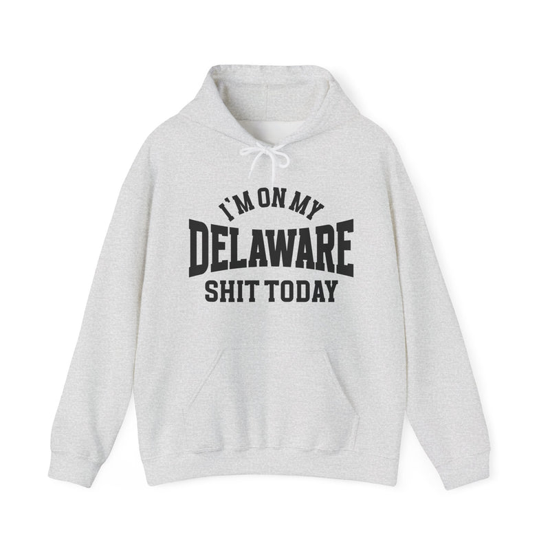 I'm On My Delaware Shit Today —  Hoodie
