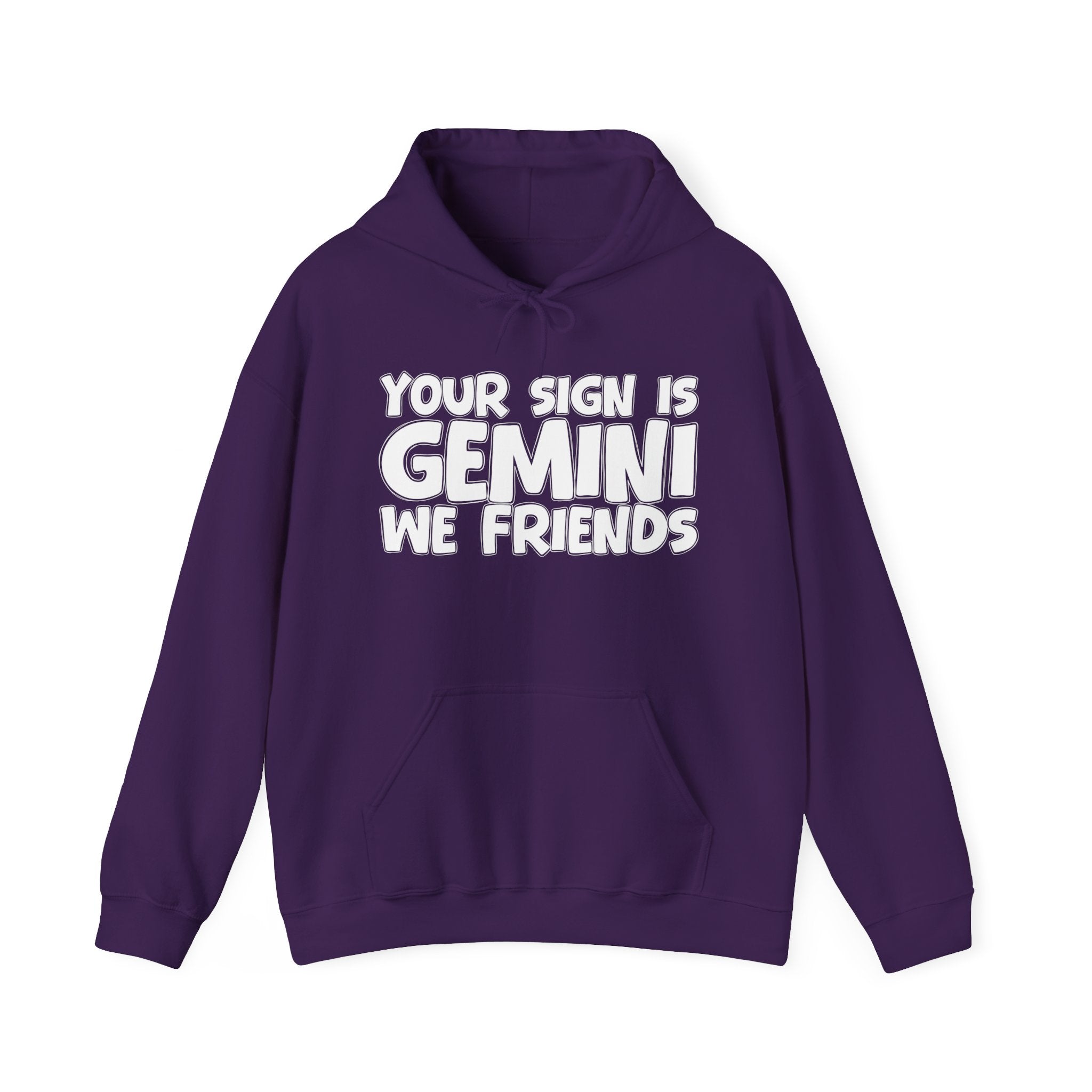 Your Sign Is Gemini We Friends - Fun Astrology Hoodie Gift
