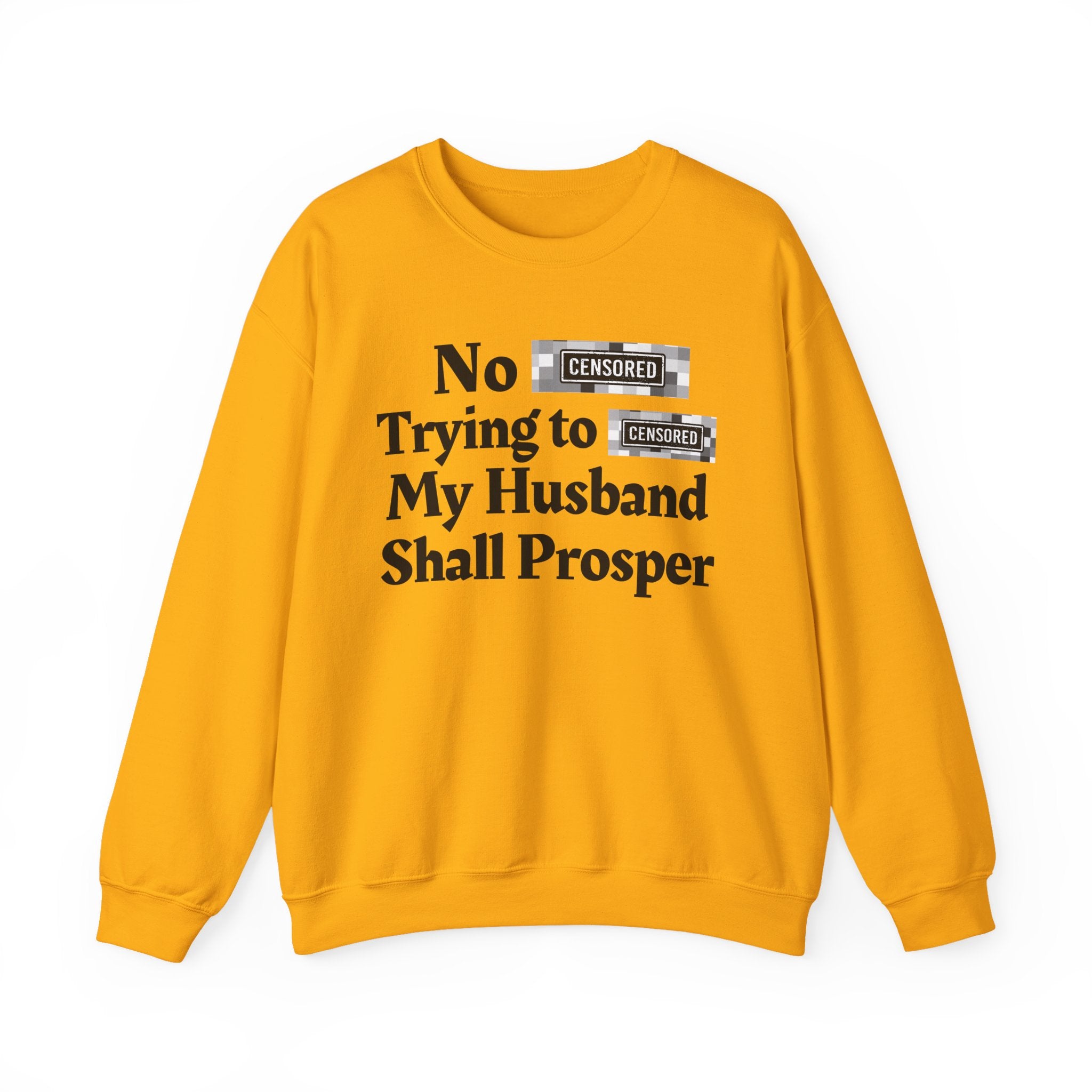 No Bitch Trying To Fuck My Husband Shall Prosper — Bold Christian Statement Sweatshirt