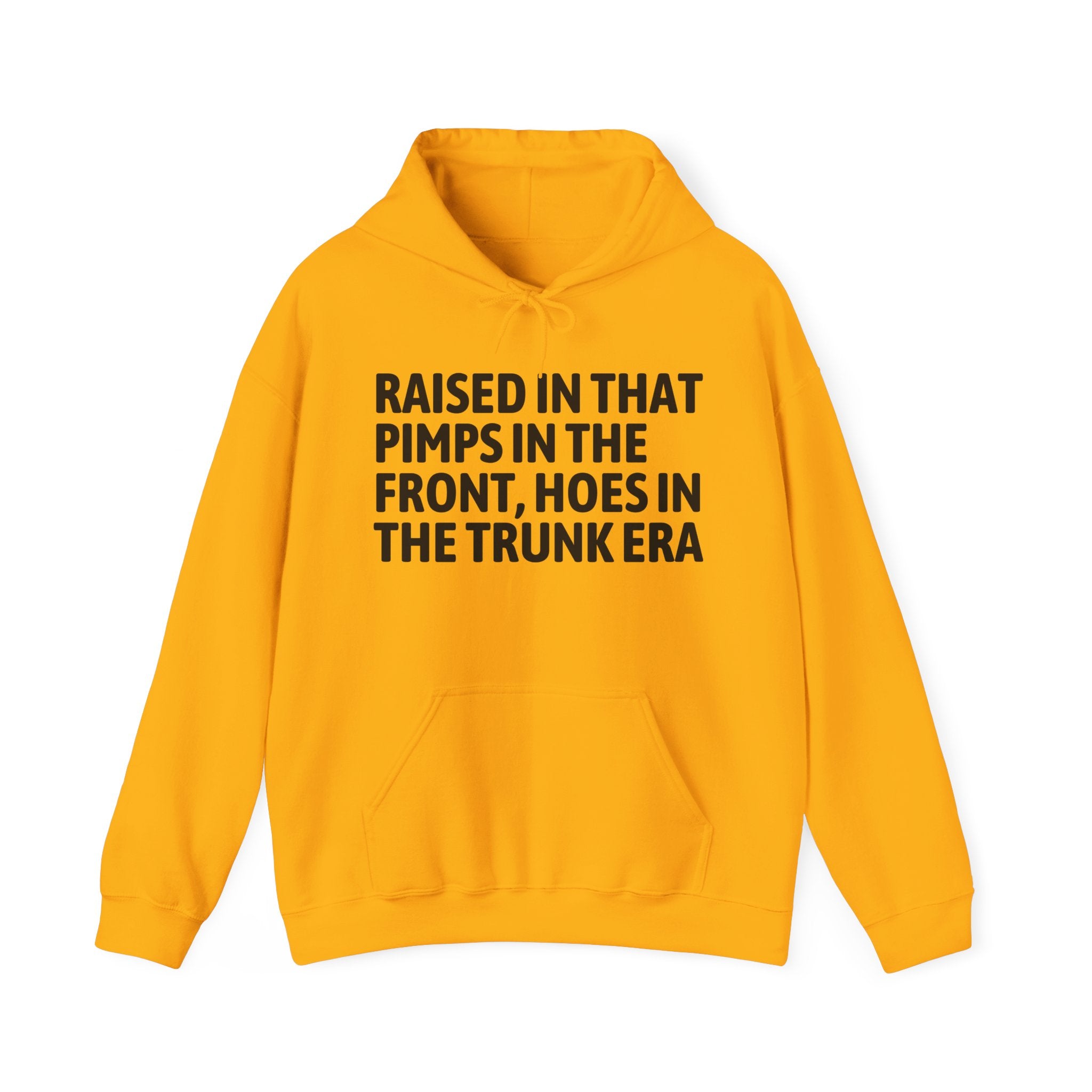 Raised In That Pimps In The Front Hoes In The Trunk Era Funny Back In The Day Statement Hoodie