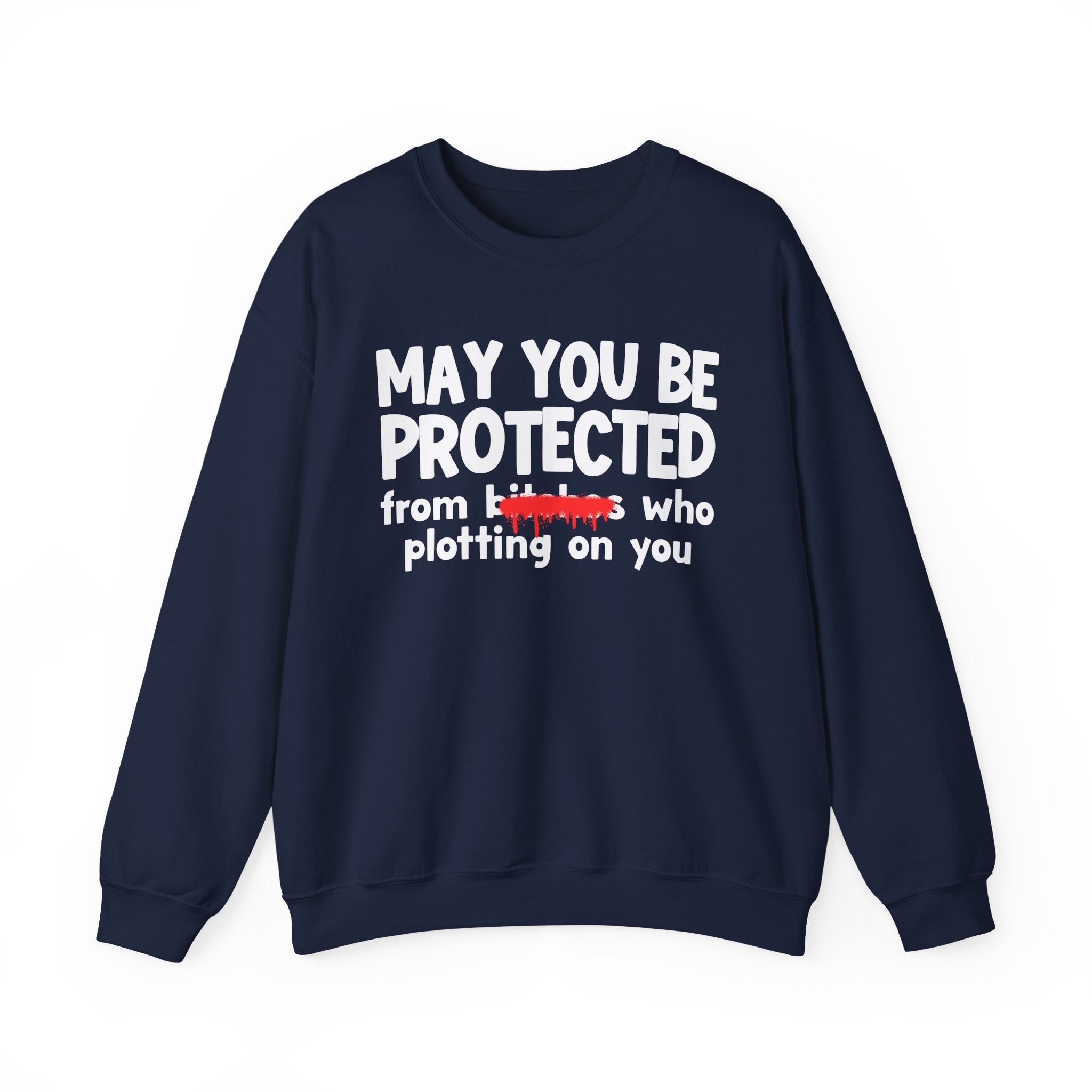 May You Be Protected From Bitches Who Plottin On You — Funny Protection Statement Sweatshirt