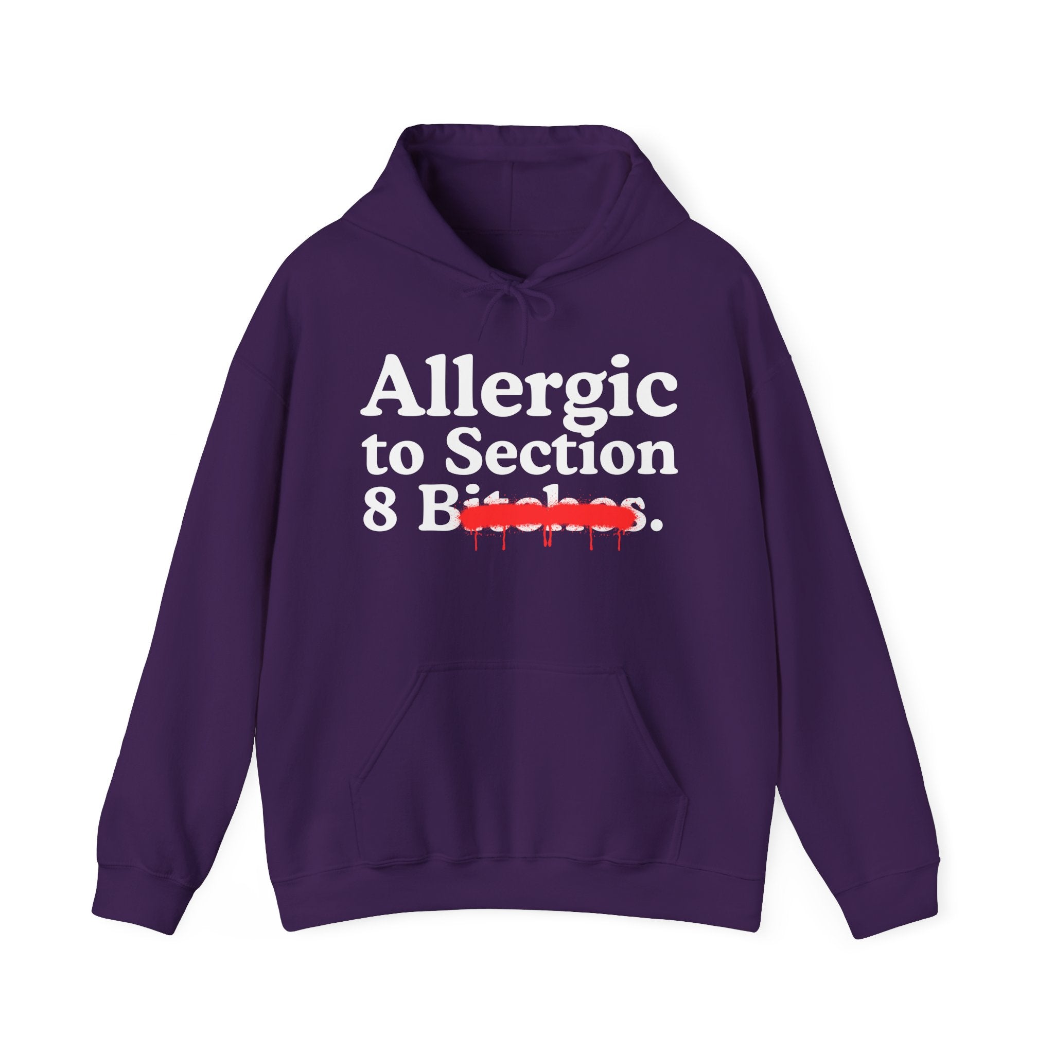 Allergic To Section 8 Bitches — Sarcastic Sassy Statement Hoodie