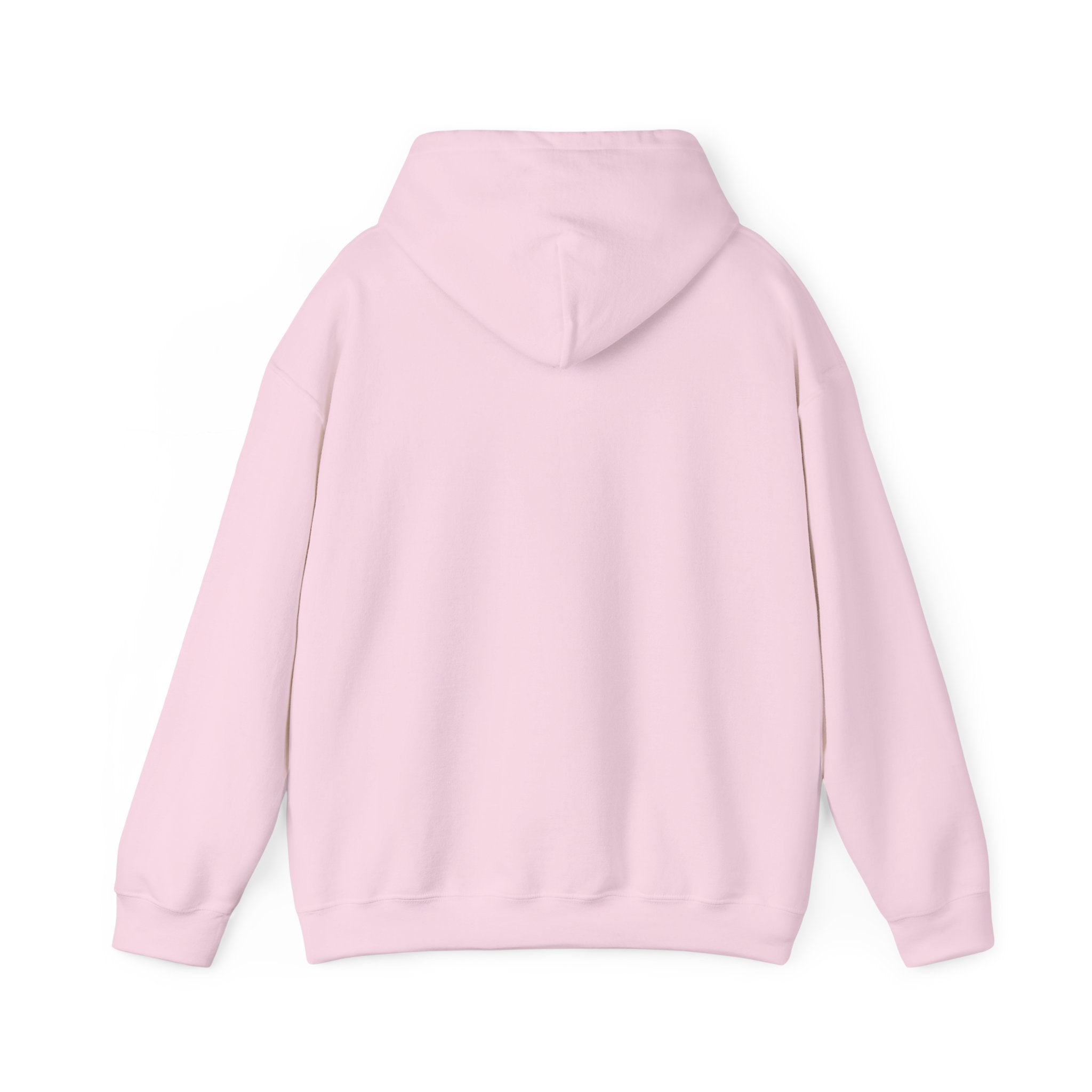 I Don't Fuck Wit Ratchet Bitches - Funny Sassy Statement Hoodie