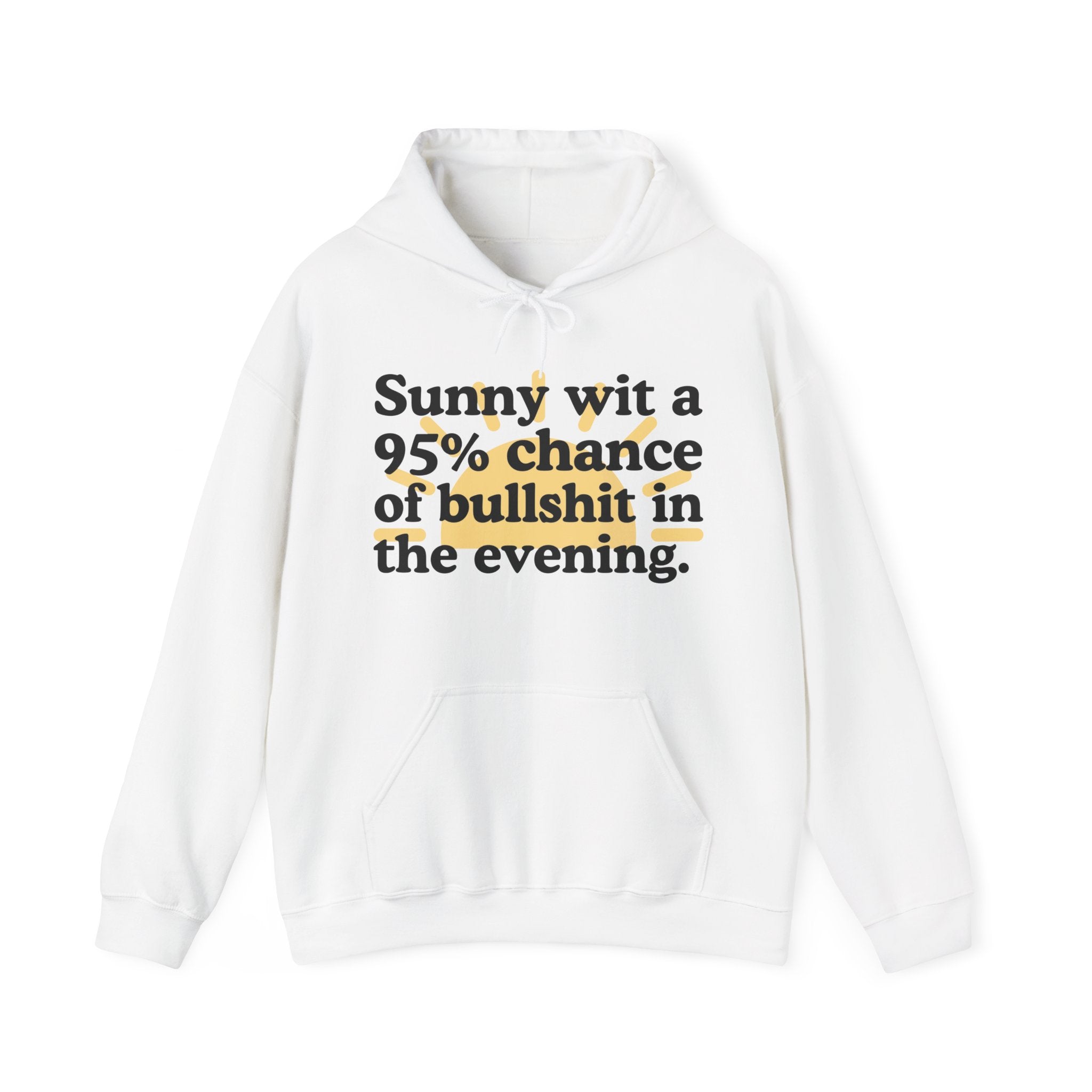 Sunny wit a 95% chance of bullshit in the evening —  Funny Weather Forecast Hoodie