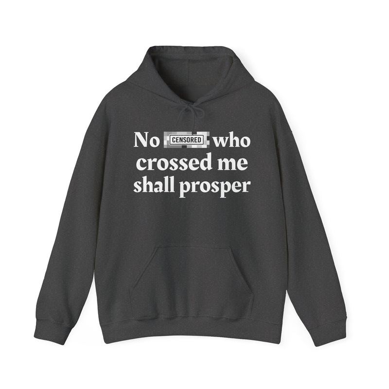 No Bitch Who Crossed Me Shall Prosper — Hoodie