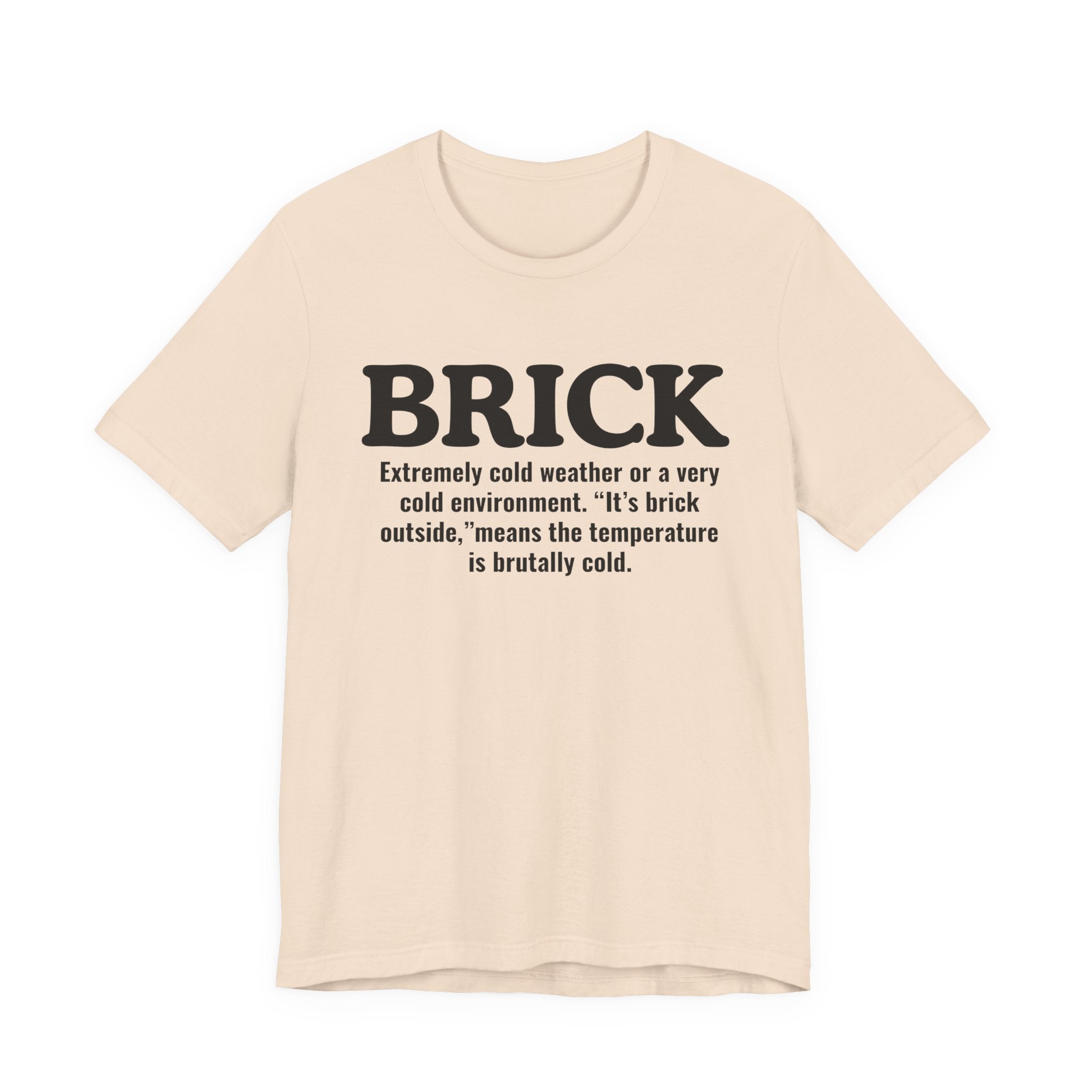 Brick — Urban Slang Definition T-Shirt