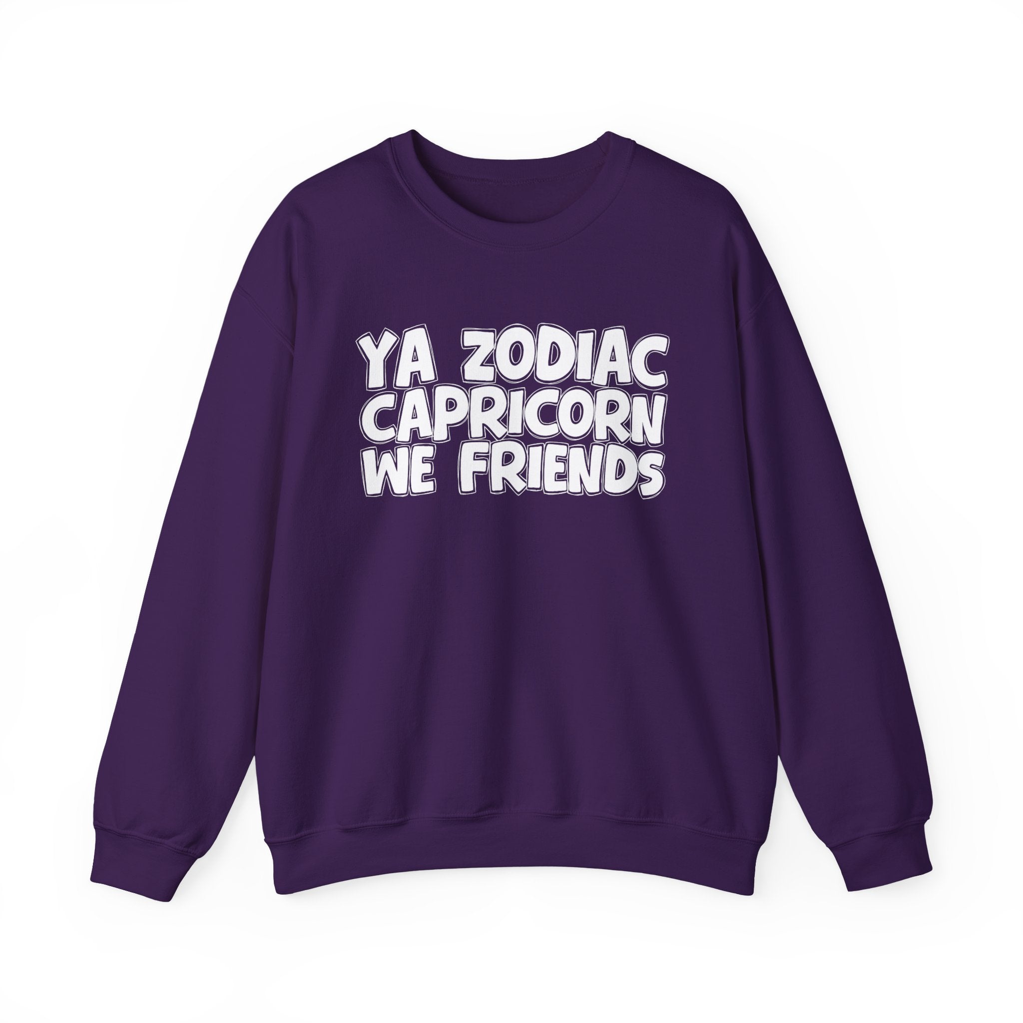Ya Zodiac CAPRICORN We Friends - Fun Astrological Pride Sweatshirt