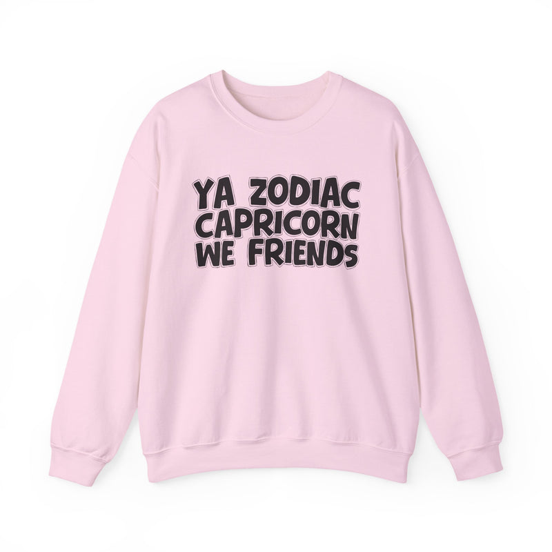 Ya Zodiac CAPRICORN We Friends —— Fun Astrological Pride Sweatshirt
