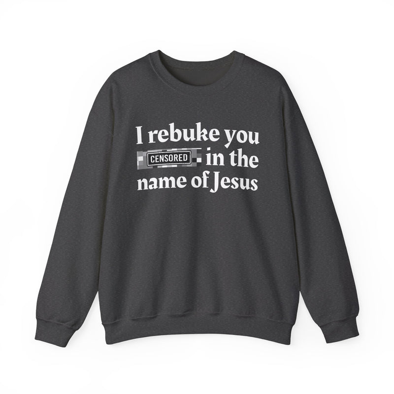 I rebuke you Bitches in the name of Jesus — Provocative Christian Sweatshirt