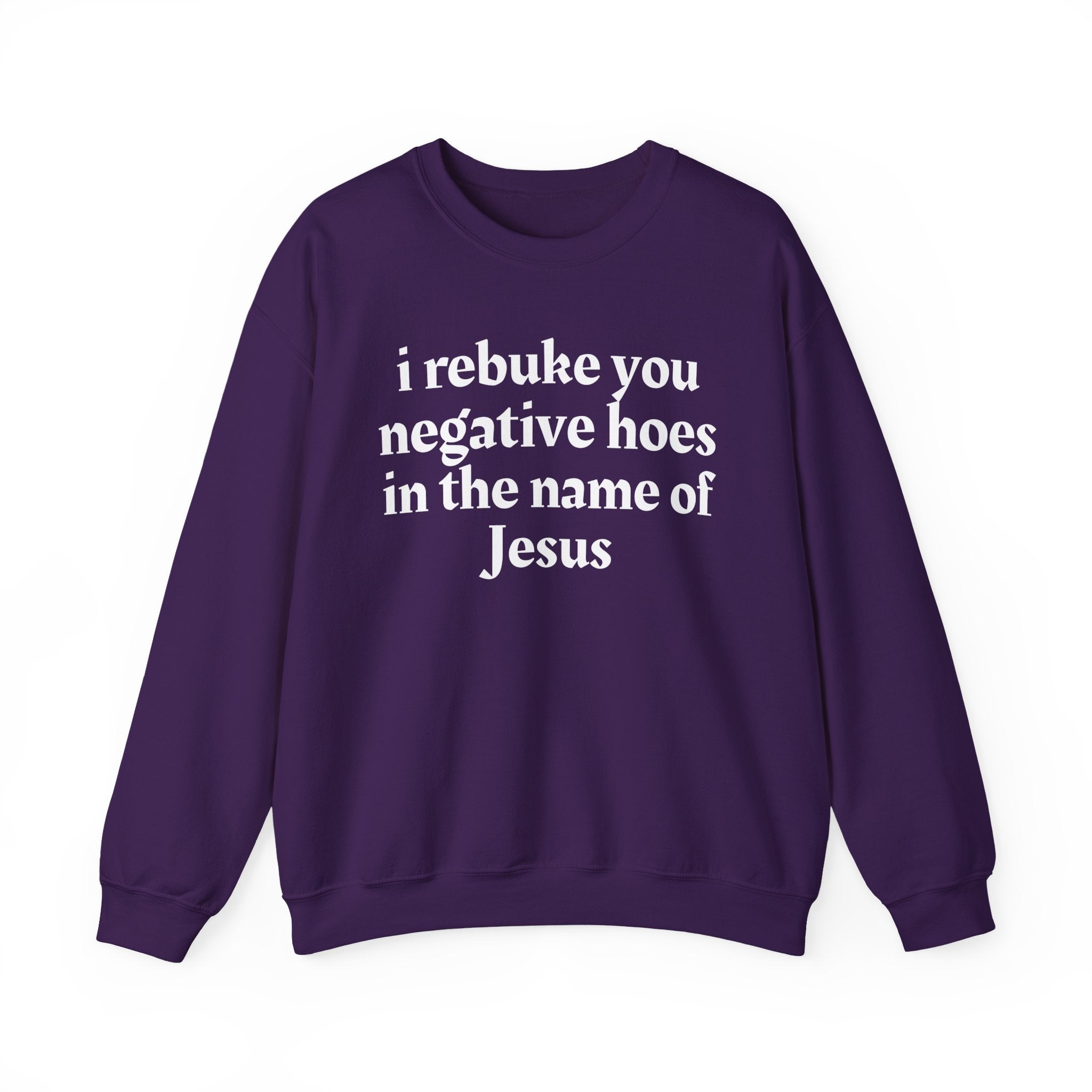 I Rebuke You Negative Hoes In the Name of Jesus — Christian Humor Sweatshirt