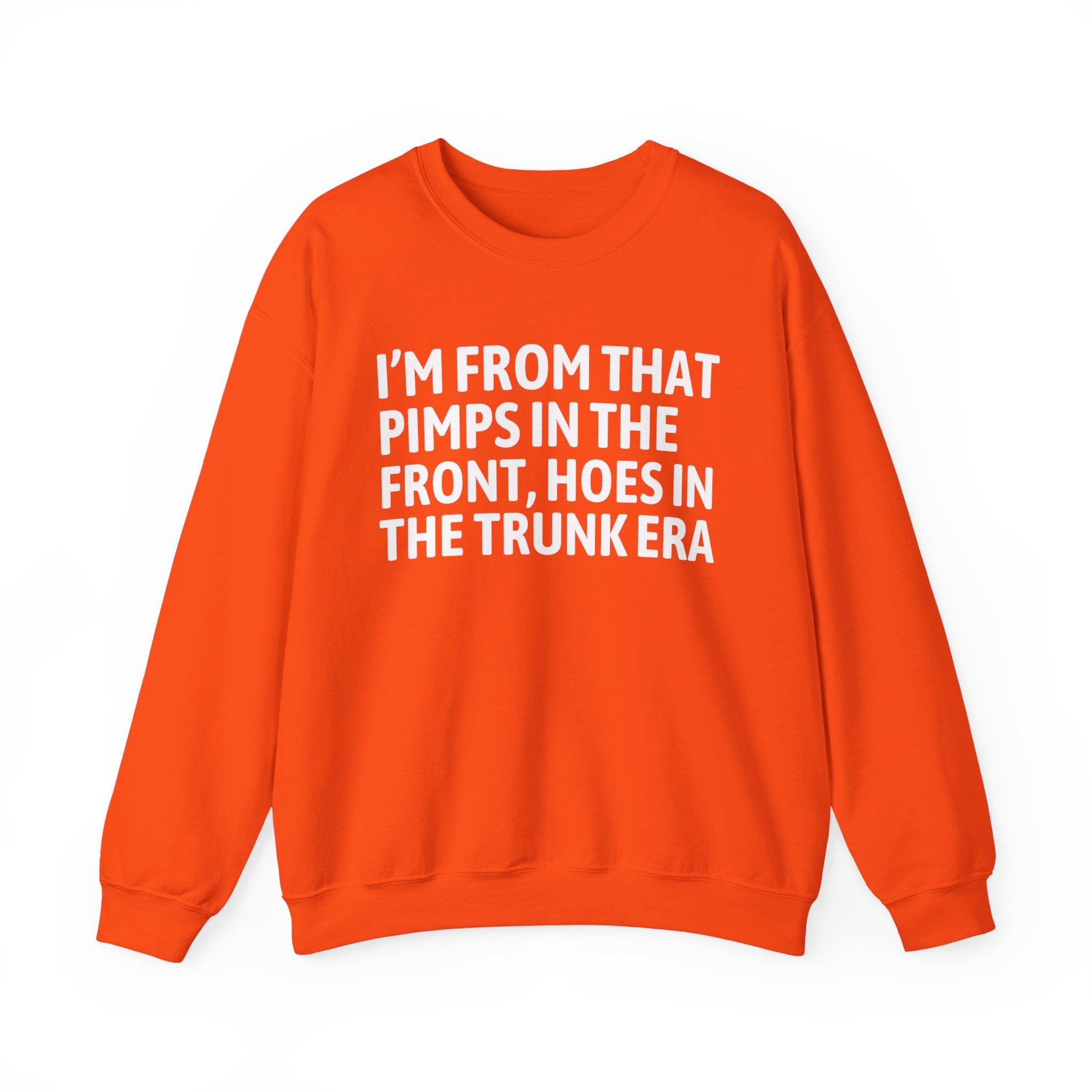 I'm From That Pimps In Front Hoes In The Trunk Era - Funny Growing Up Sweatshirt
