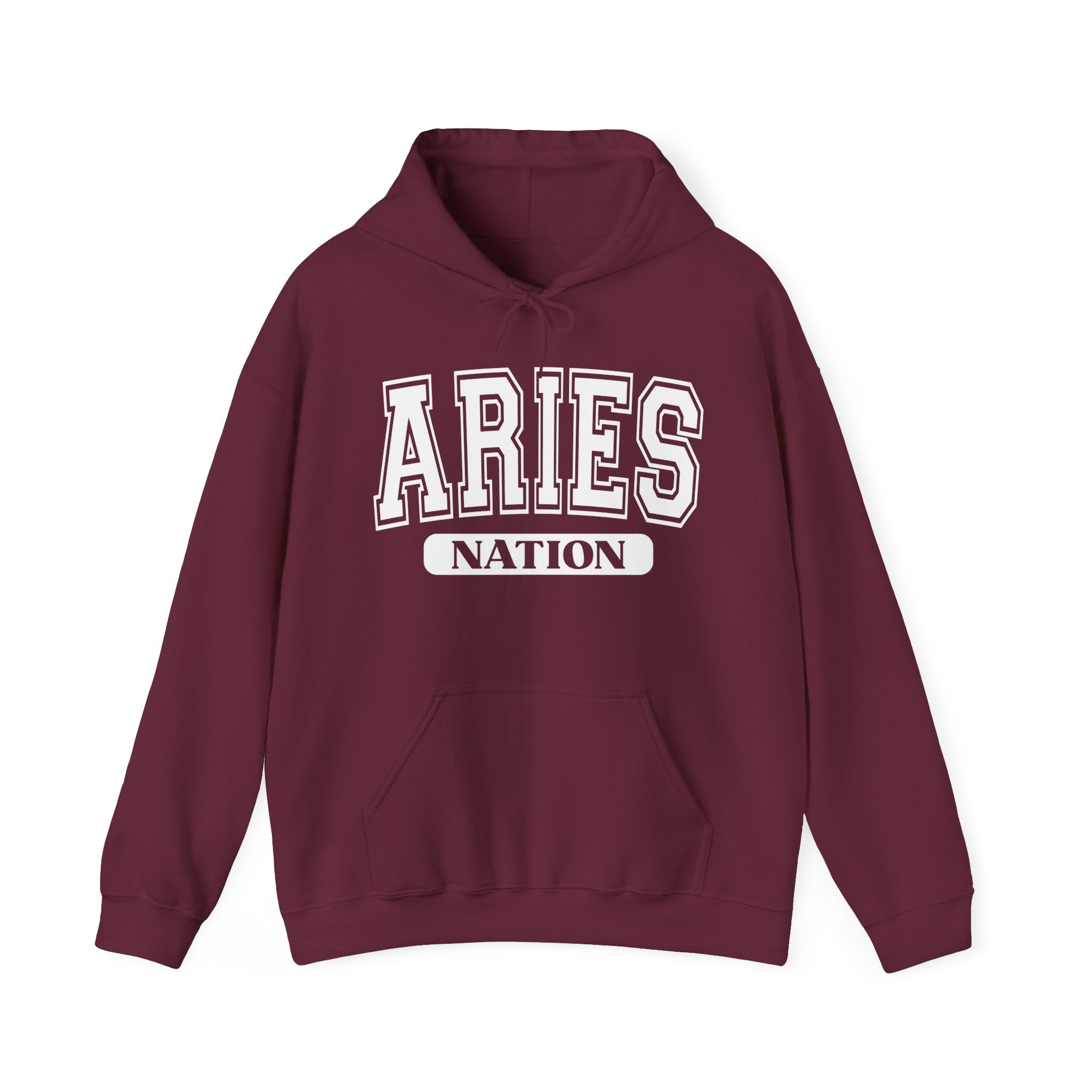 Aries Nation Hoodie — Zodiac Graphic Pullover for Gemini Fans
