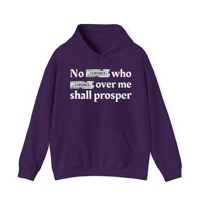 No Bitch Who Fuck Over Me Shall Prosper — Hoodie