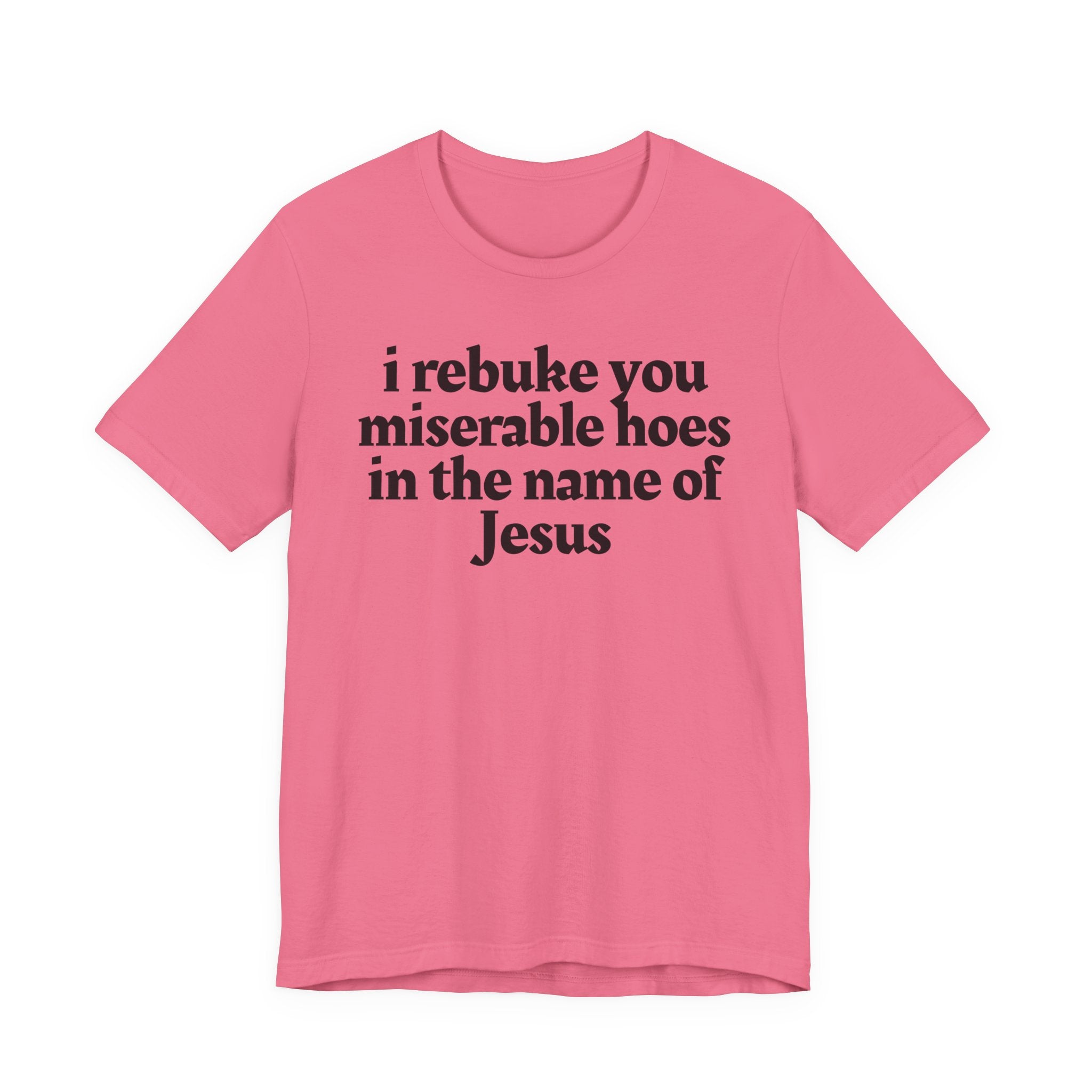 I Rebuke You Miserable Hoes in the Name of Jesus — Christian Humor T-Shirt