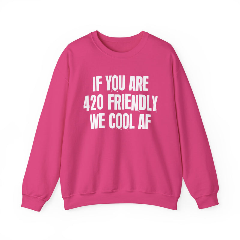 Sweatshirt with white block lettering reading IF YOU ARE 420 FRIENDLY WE COOL AF, alternate view 15. Street Talk Designs 420 friendly statement apparel.