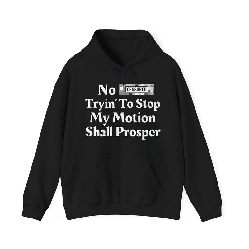 No Bitch Trying To Stop My Motion Shall Prosper — Hoodie