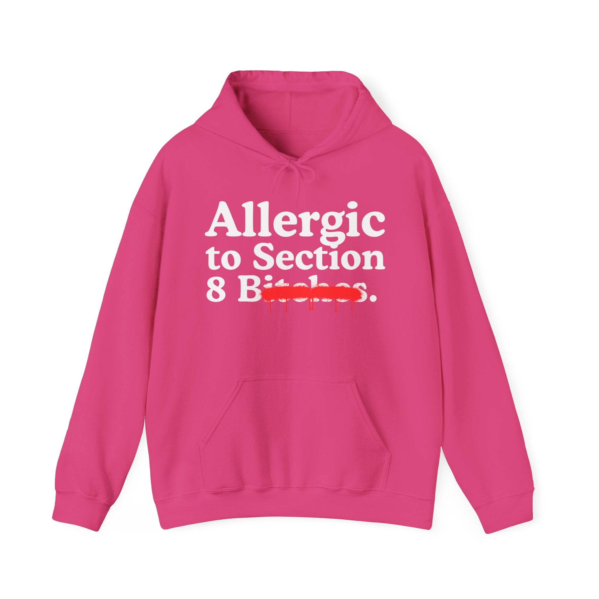 Allergic To Section 8 Bitches — Sarcastic Sassy Statement Hoodie