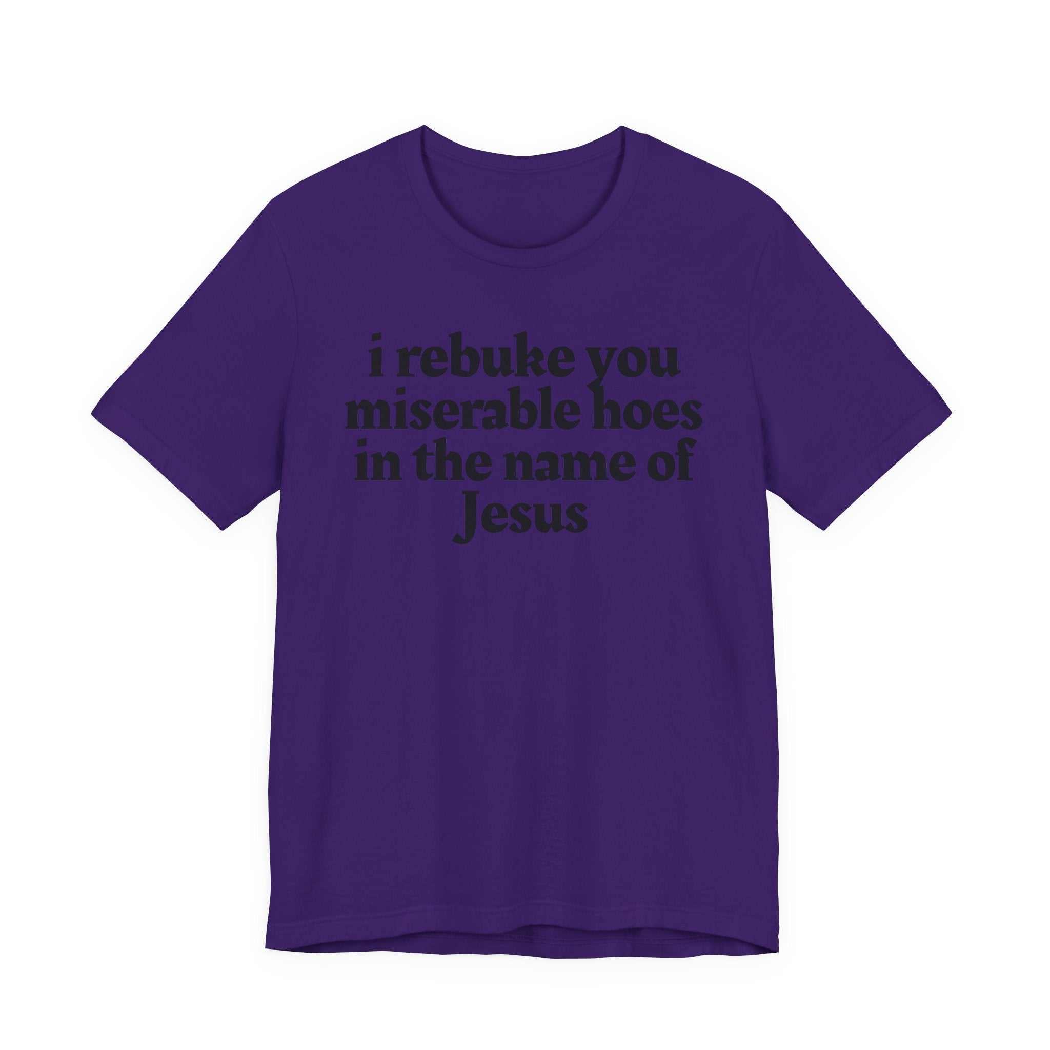 I Rebuke You Miserable Hoes in the Name of Jesus — Christian Humor T-Shirt