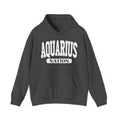 Aquarius Nation Hoodie — Zodiac Graphic Pullover for Gemini Fans
