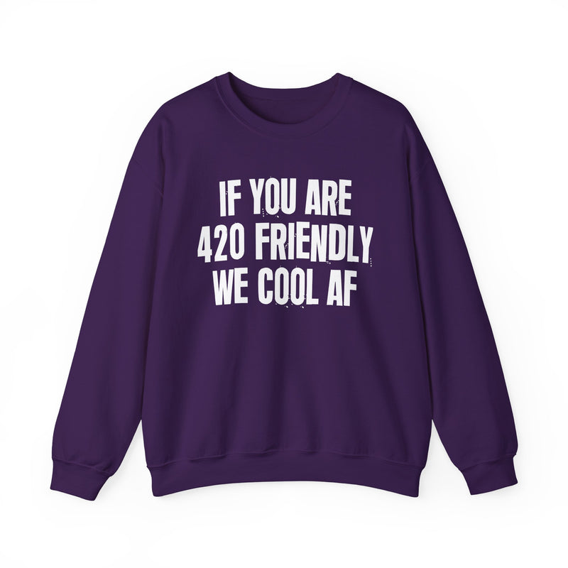 Sweatshirt with white block lettering reading IF YOU ARE 420 FRIENDLY WE COOL AF, alternate view 13. Street Talk Designs 420 friendly statement apparel.