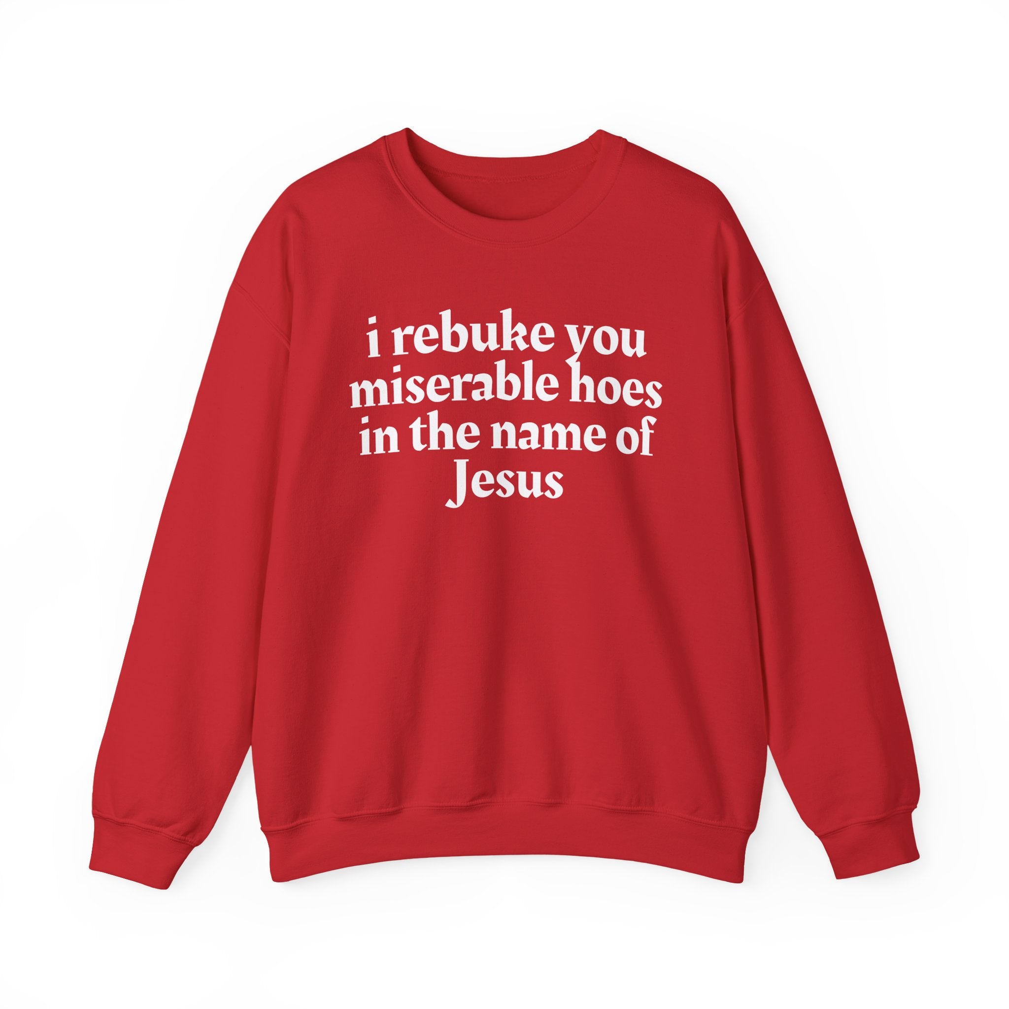 I Rebuke You Miserable Hoes In the Name of Jesus — Christian Humor Sweatshirt