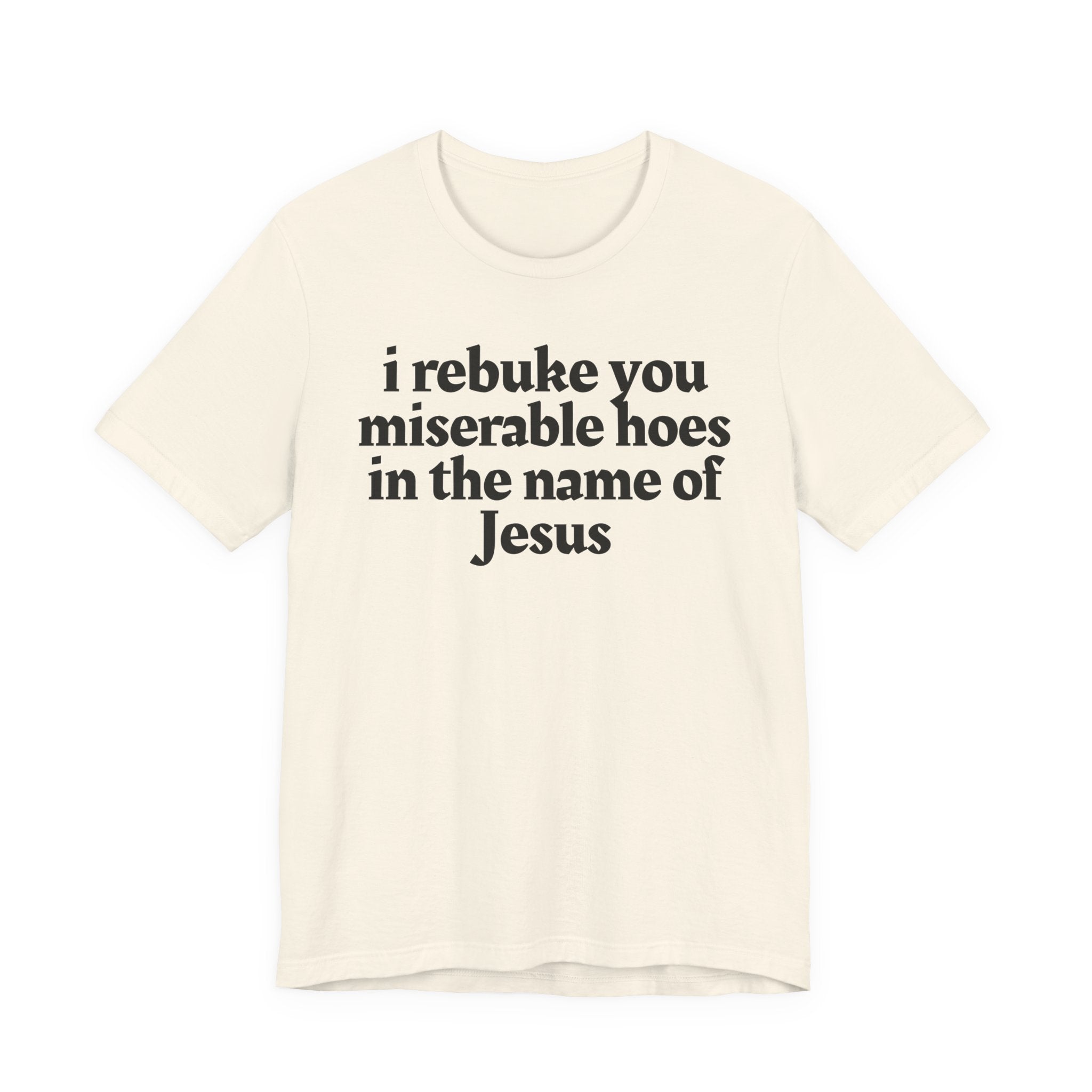 I Rebuke You Miserable Hoes in the Name of Jesus — Christian Humor T-Shirt