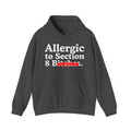 Allergic To Section 8 Bitches — Sarcastic Sassy Statement Hoodie