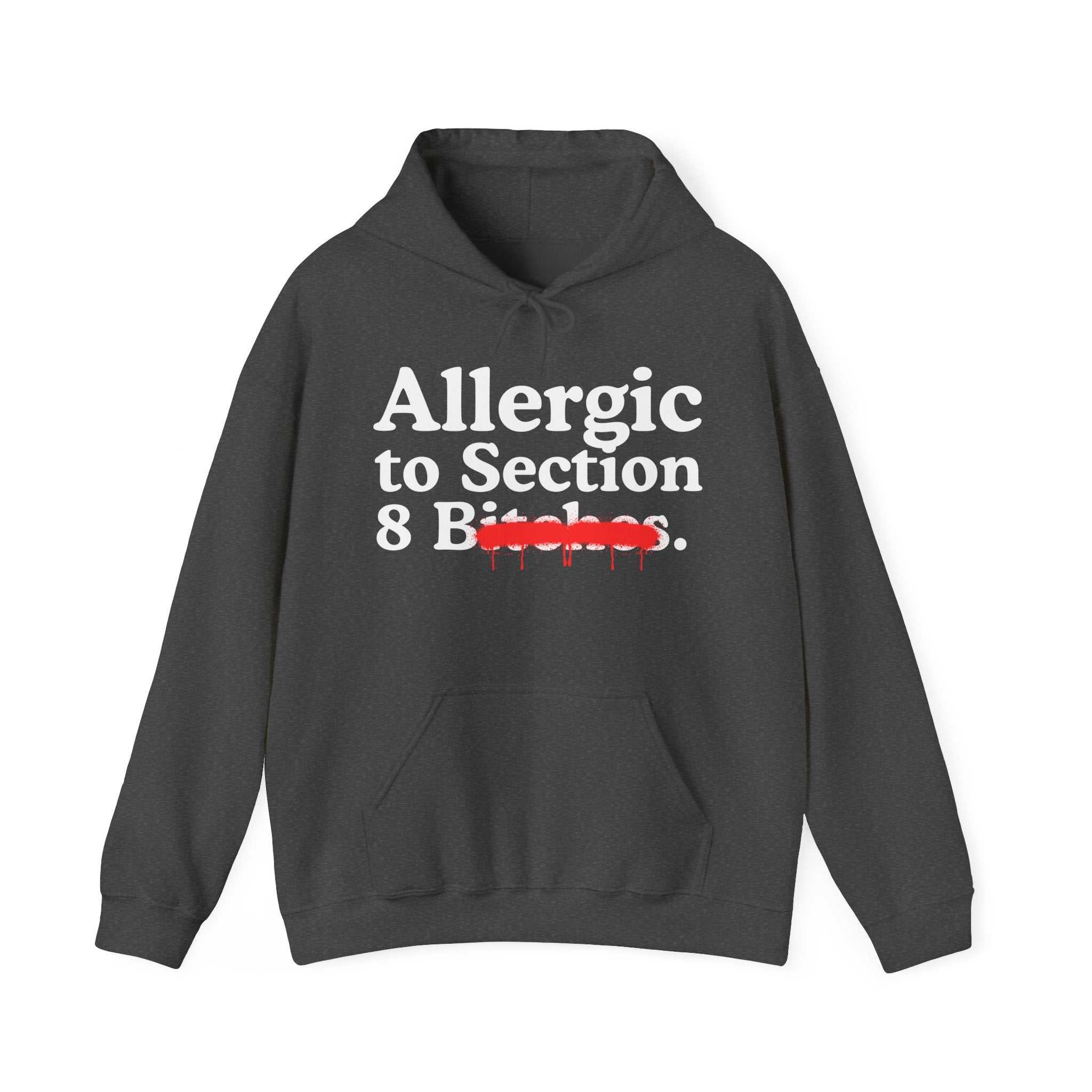Allergic To Section 8 Bitches — Sarcastic Sassy Statement Hoodie