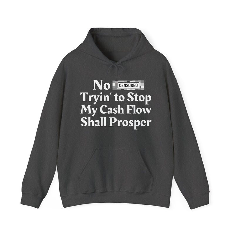 No Bitch Trying To Stop My Cash Flow Shall Prosper — Hoodie
