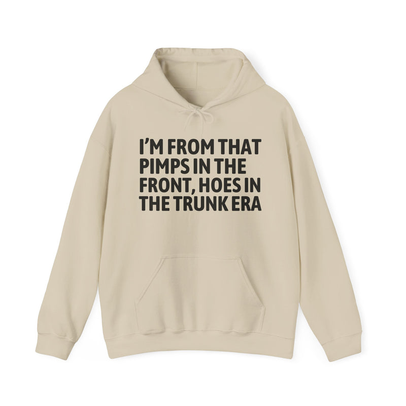 I'm From That Pimps In The Front Hoes In The Trunk Era — Hoodie alternate view 5: I'm From That Pimps In The Front Hoes In The Trunk Era in distressed collegiate lettering. Street Talk Designs old school statement apparel.