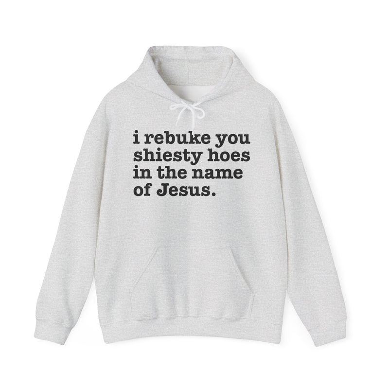 Hoodie with text design reading “I REBUKE YOU SHIESTY HOES IN THE NAME OF JESUS”, front view