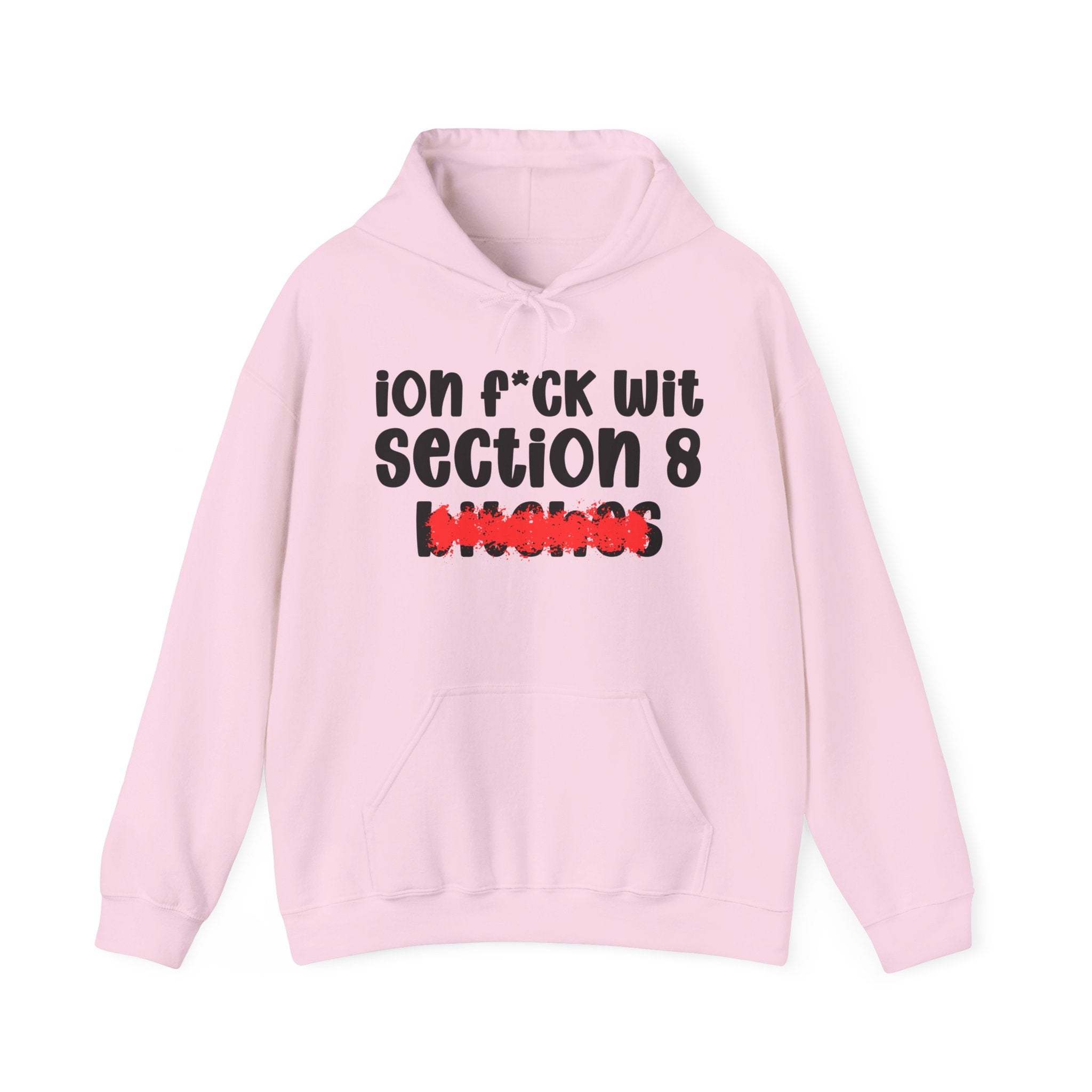 ION (I Don't) FUCK WITH SECTION 8 BITCHES — Bold Sarcastic Hoodie