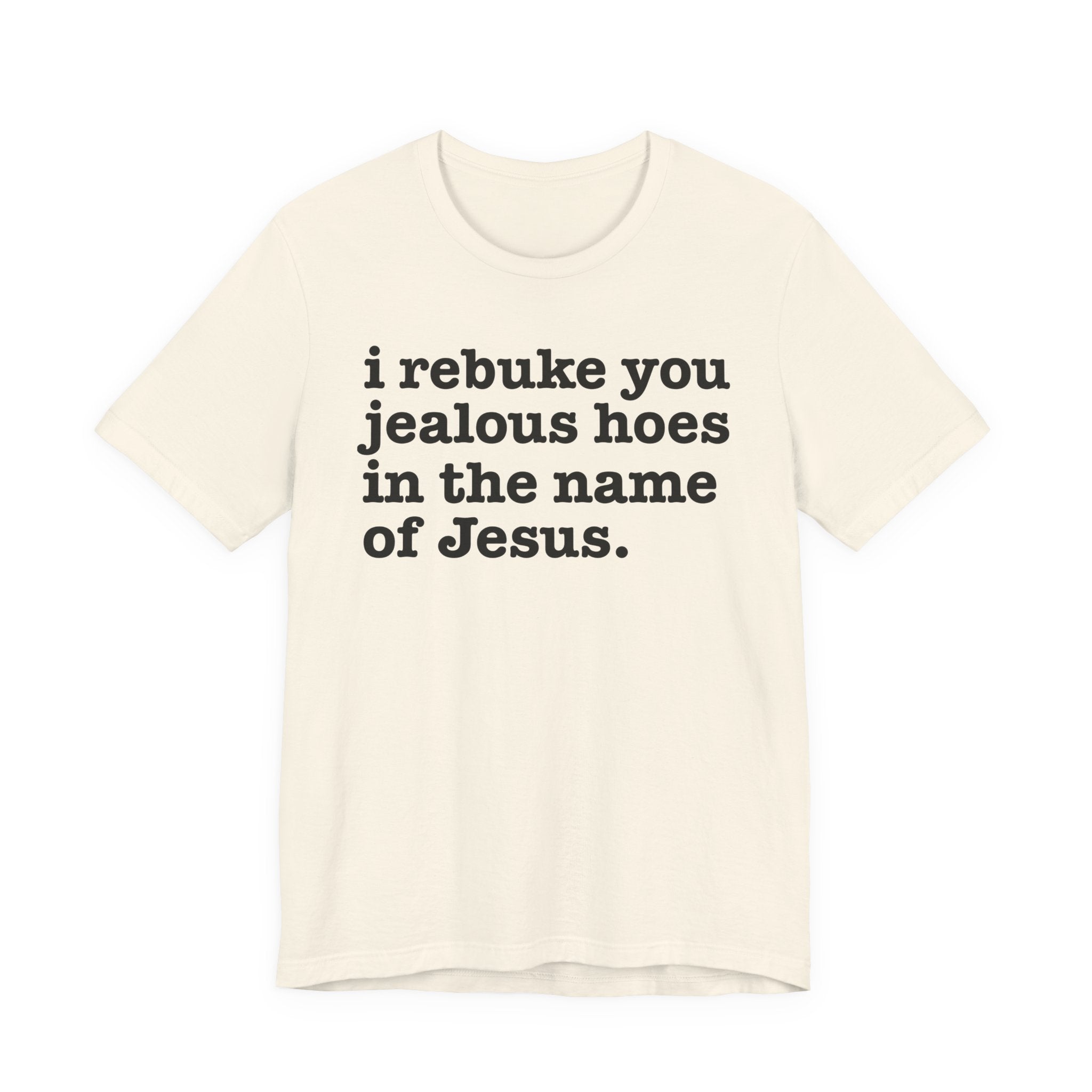 I Rebuke You Jealous Hoes in the Name of Jesus — Christian Humor T-Shirt
