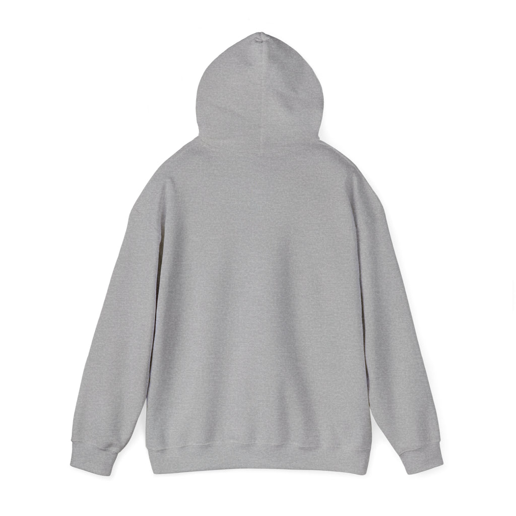 I Don't Fuck Wit Ratchet Bitches - Funny Sassy Statement Hoodie