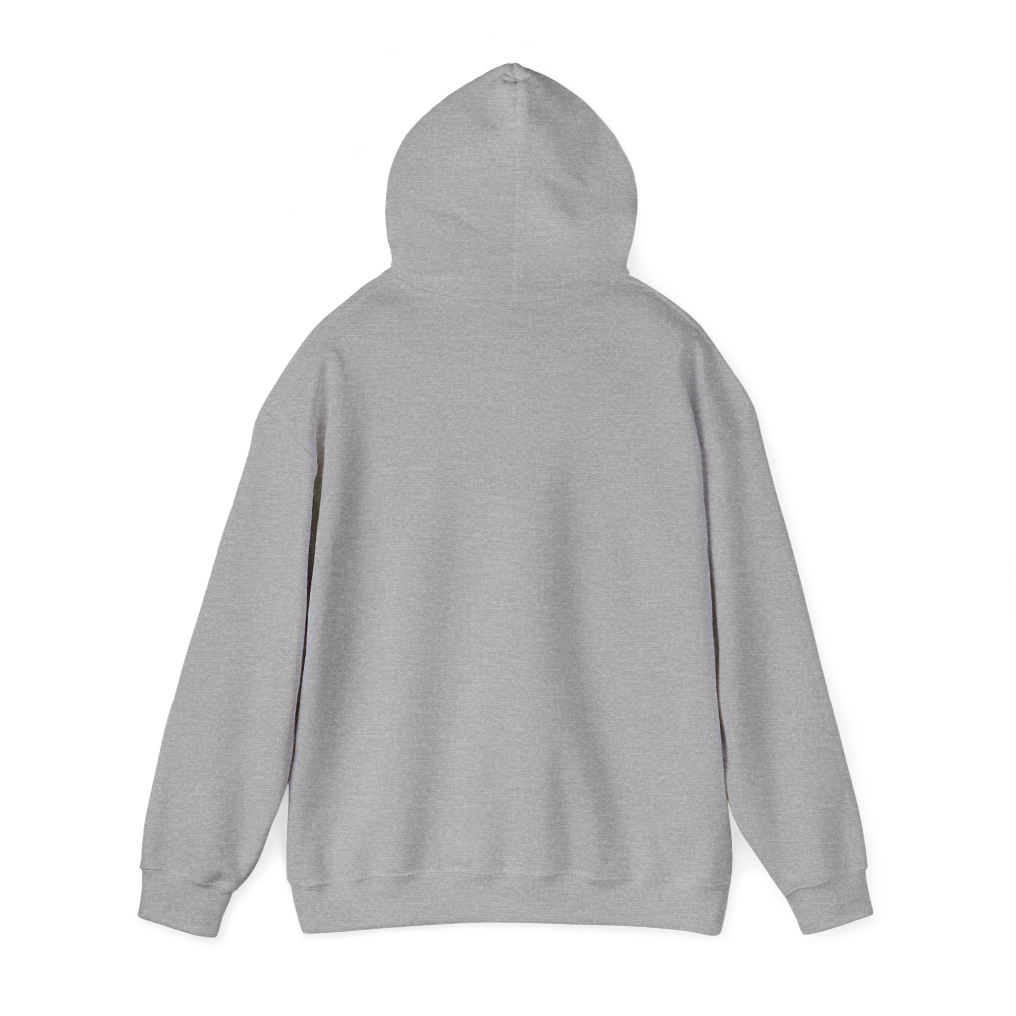 I Don't Fuck Wit Ratchet Bitches - Funny Sassy Statement Hoodie