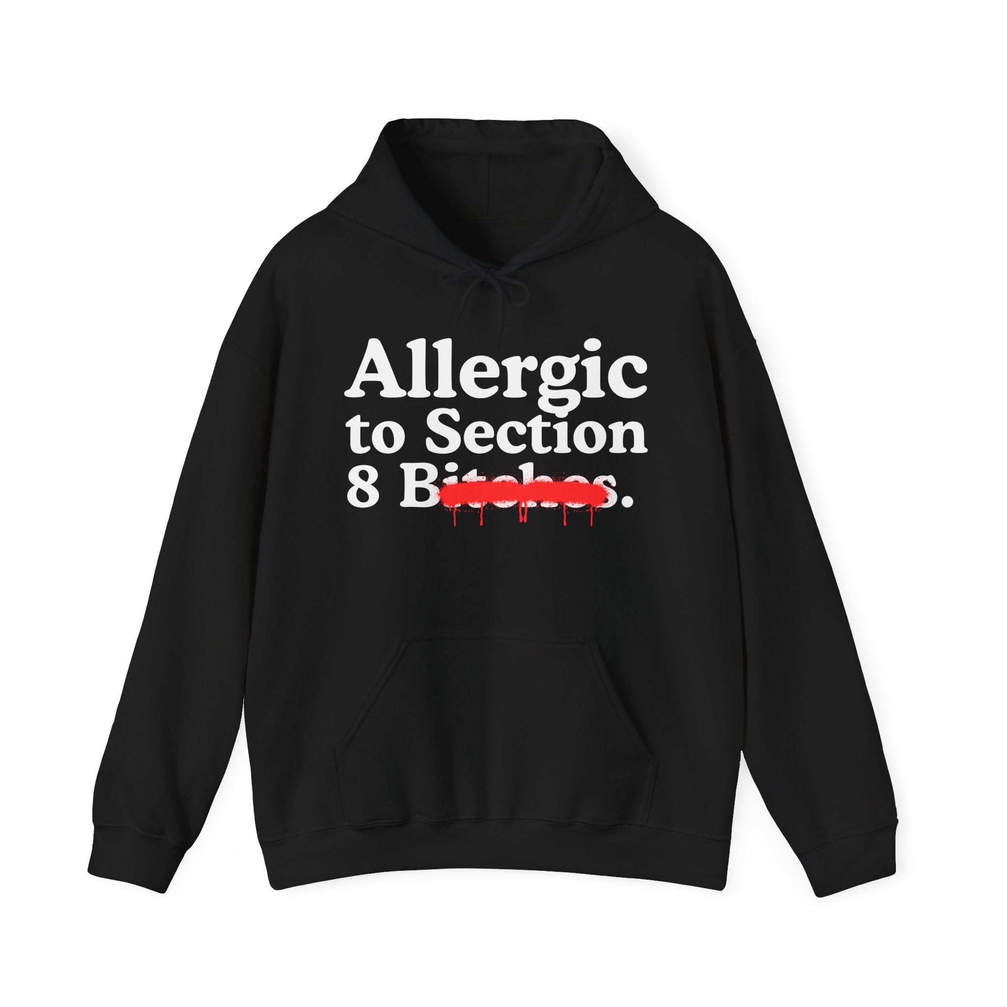 Allergic To Section 8 Bitches — Sarcastic Sassy Statement Hoodie