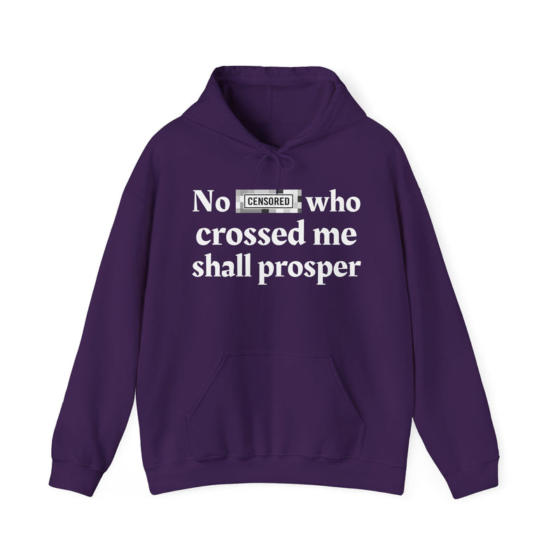 No Bitch Who Crossed Me Shall Prosper — Hoodie