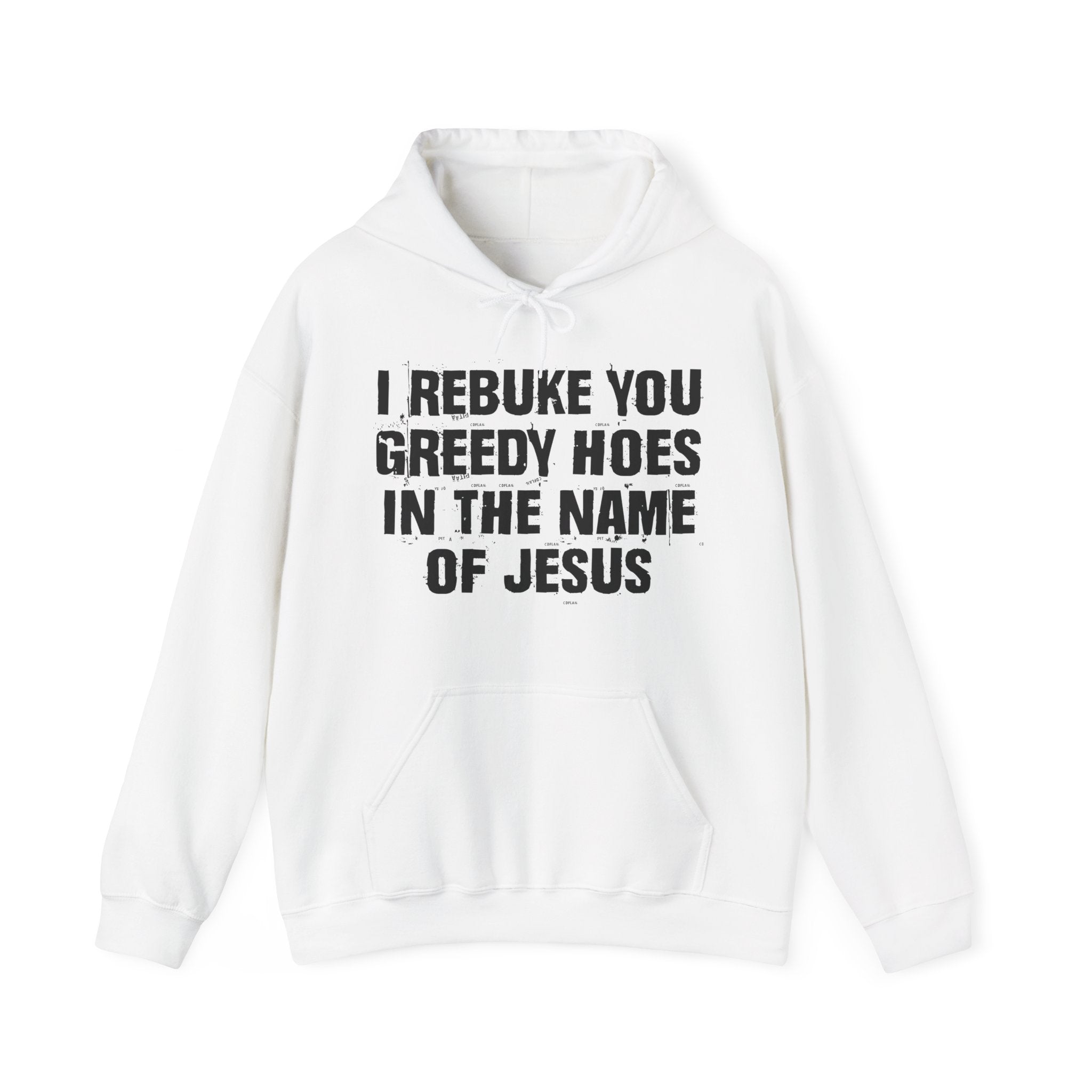 I Rebuke You Greedy Hoes in the Name of Jesus — Humorous Religious Hoodie