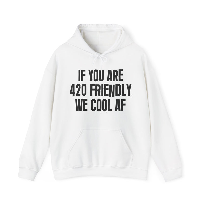 If You Are 420 Friendly We Cool AF - Hoodie