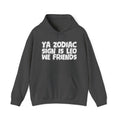 Ya Zodiac Sign Is Leo We Friends - Fun Astrology Hoodie Gift