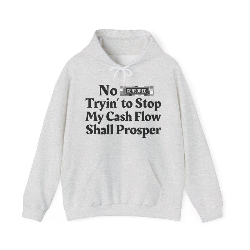 No Bitch Trying To Stop My Cash Flow Shall Prosper — Hoodie