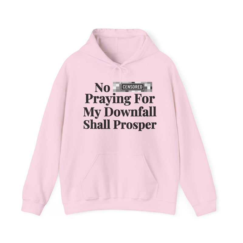No Bitch Praying For My Downfall Shall Prosper — Hoodie