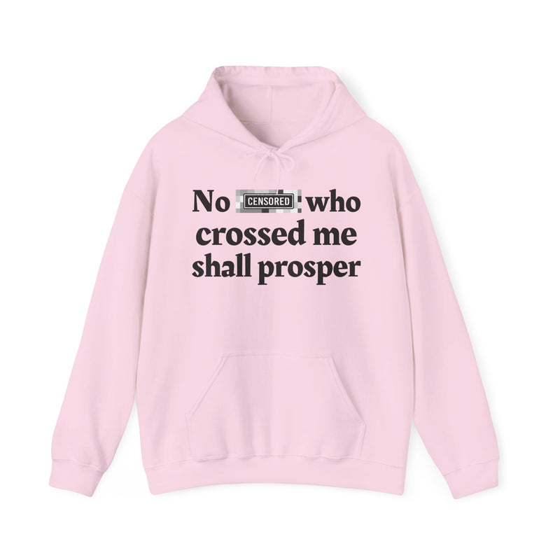 No Bitch Who Crossed Me Shall Prosper — Hoodie
