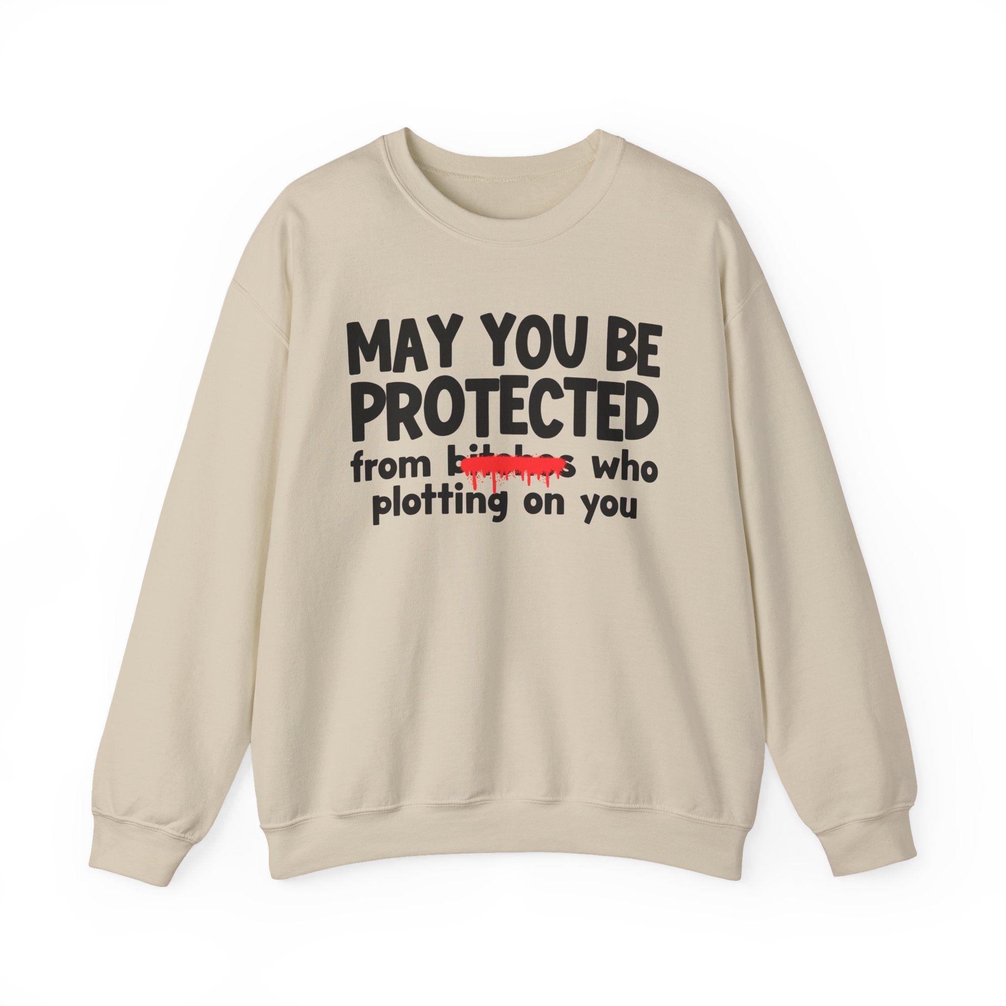 May You Be Protected From Bitches Who Plottin On You — Funny Protection Statement Sweatshirt