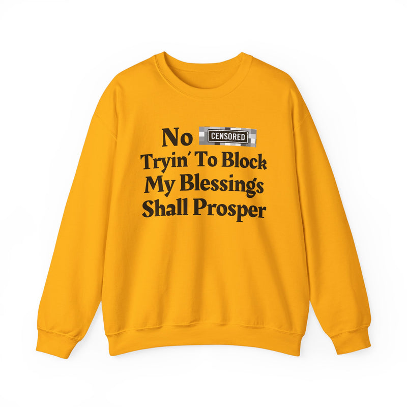 No Bitch Tryin' To Block My Blessings Shall Prosper — Sweatshirt