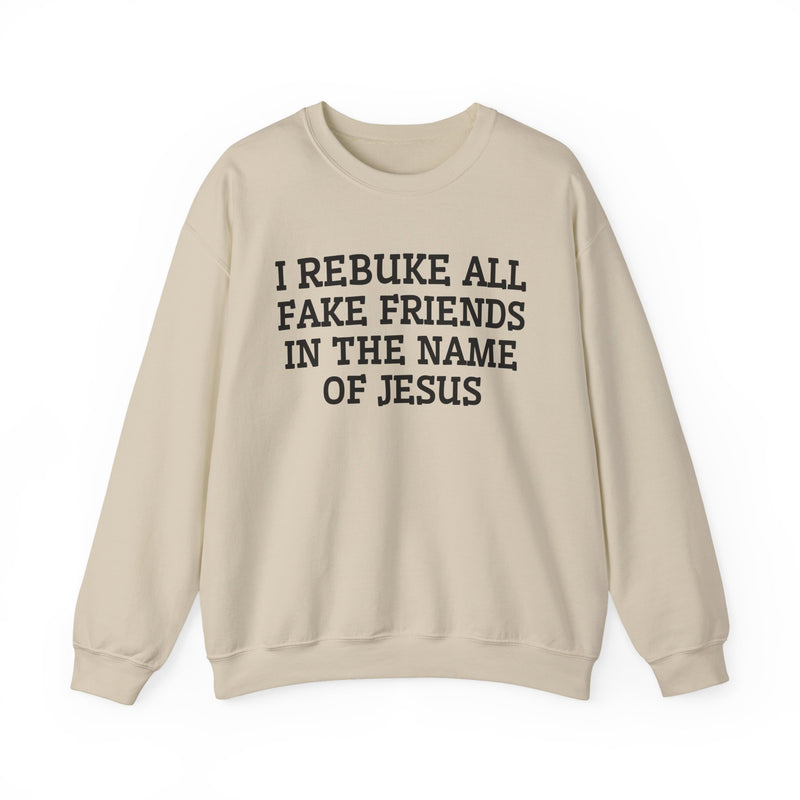I Rebuke All Fake Friends In The Name of Jesus — Sweatshirt