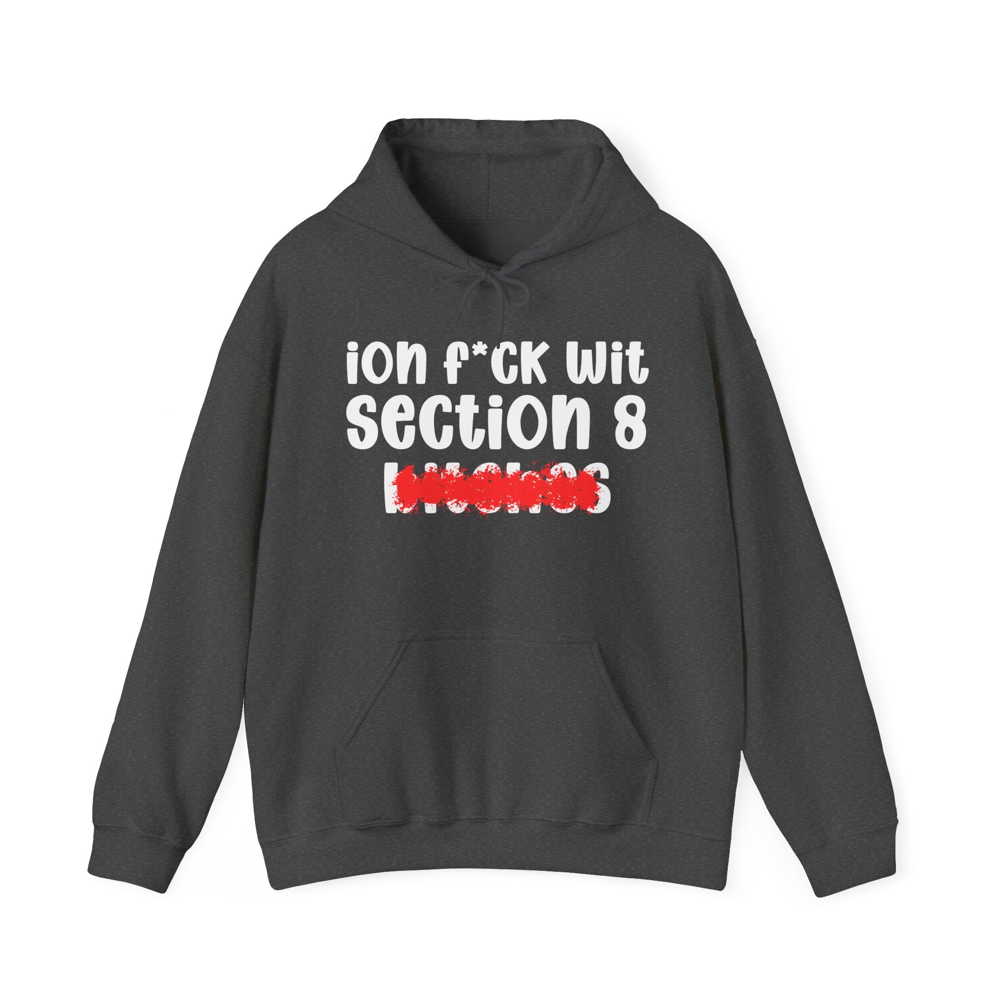 ION (I Don't) FUCK WITH SECTION 8 BITCHES - Bold Sarcastic Hoodie